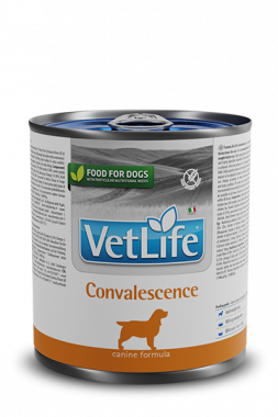 Farmina Vet Life Dog Convalescence Wet Food Canine влажный корм для взрослых собак в период восстановления и выздоровления 6штх300г
