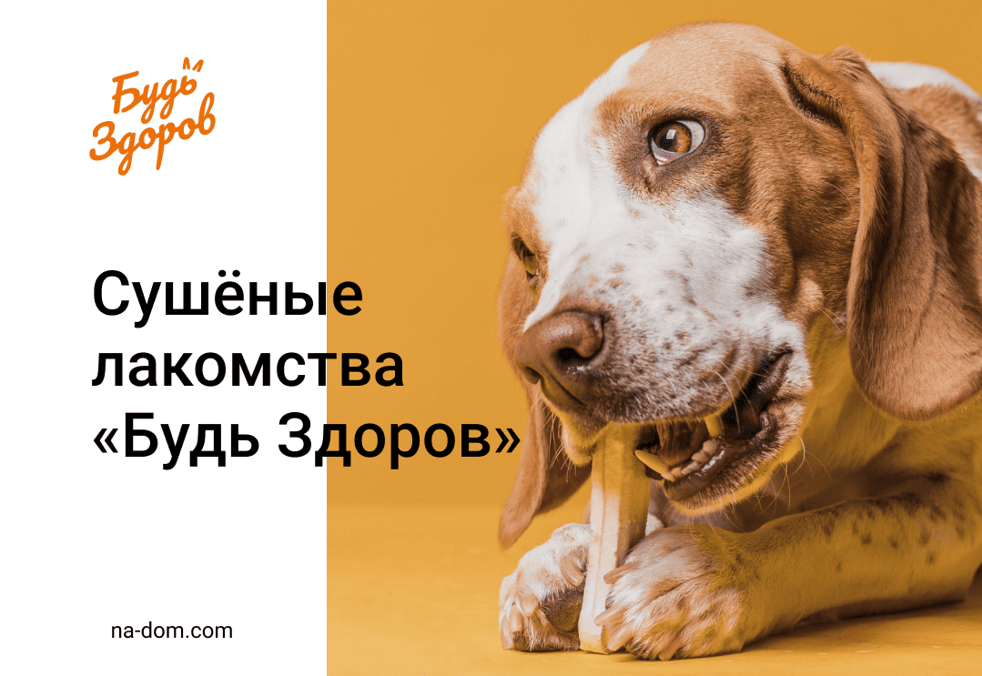 Сушёные лакомства «Будь Здоров» 