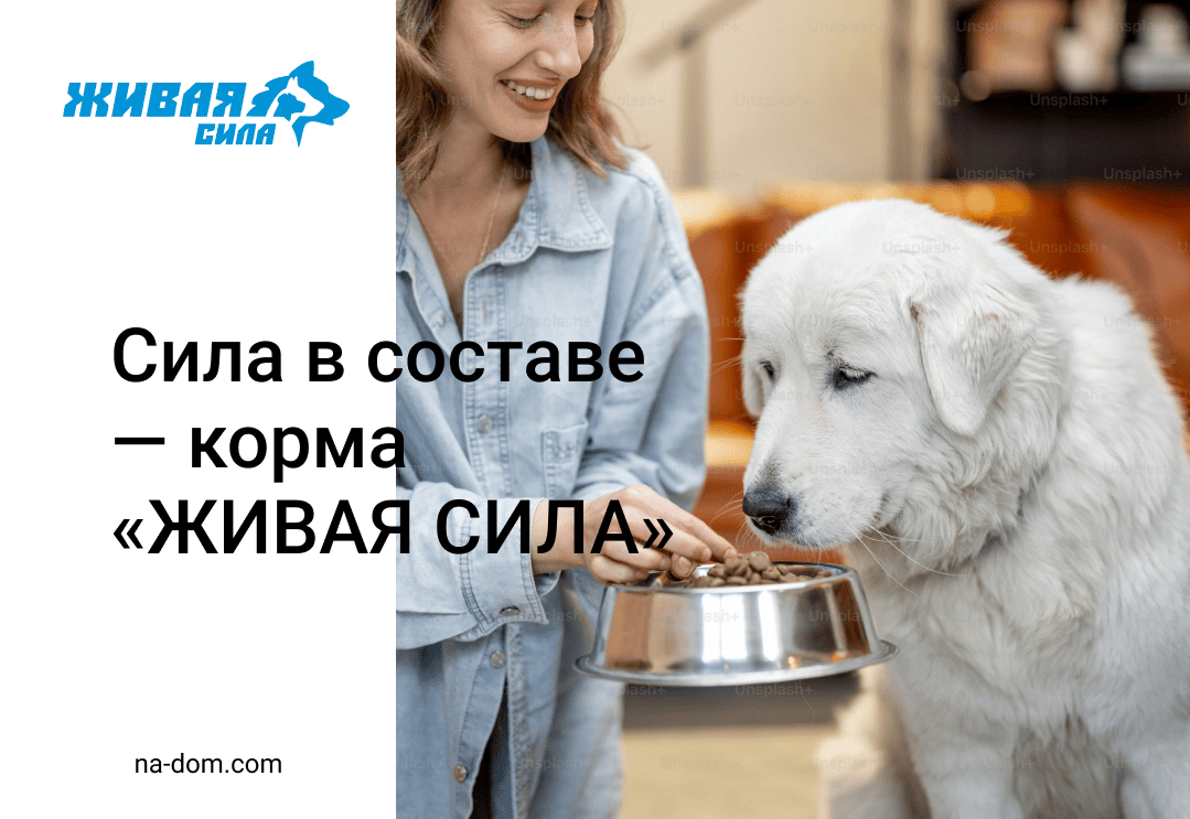 Натуральный состав и настоящая сила: корма «ЖИВАЯ СИЛА» для кошек и собак