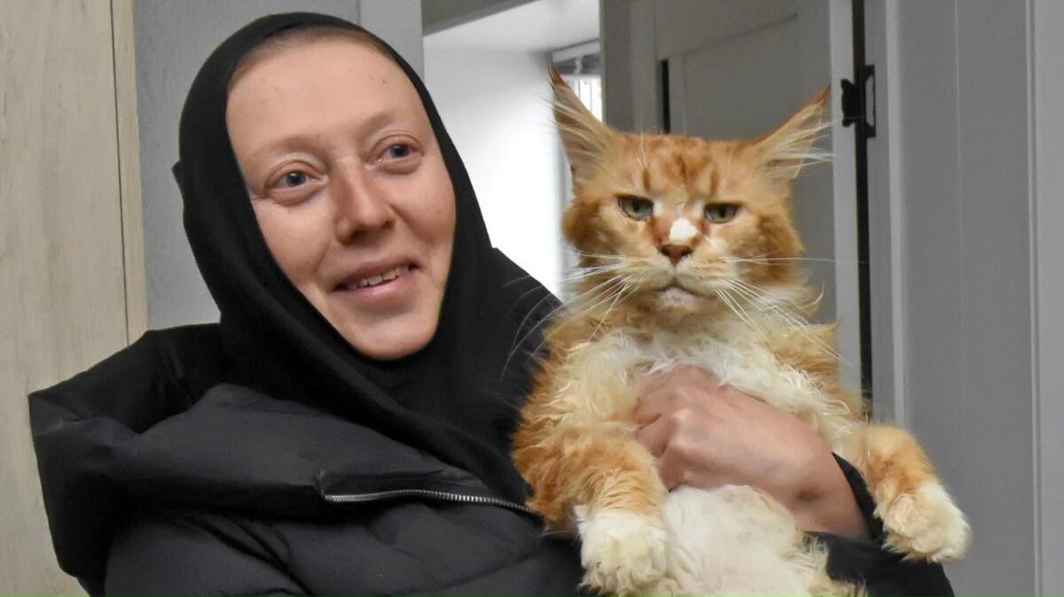 Монахиня, которая спасла тысячи кошек
