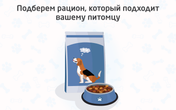 Подбор кормов: рацион для вашего питомца