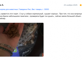 Bisko Otziv O Korme8